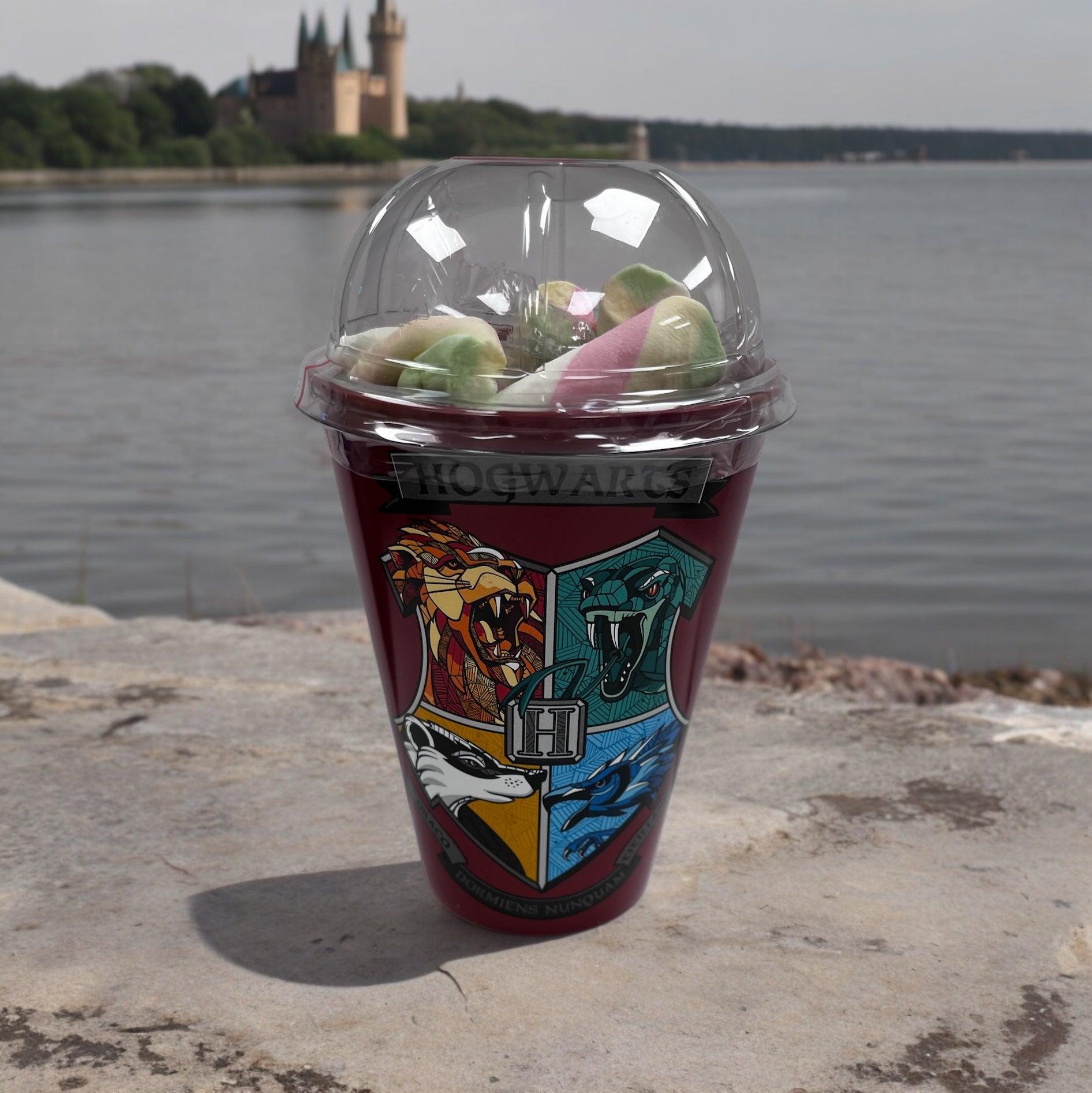 Harry Potter Character Cup (Case of 6)